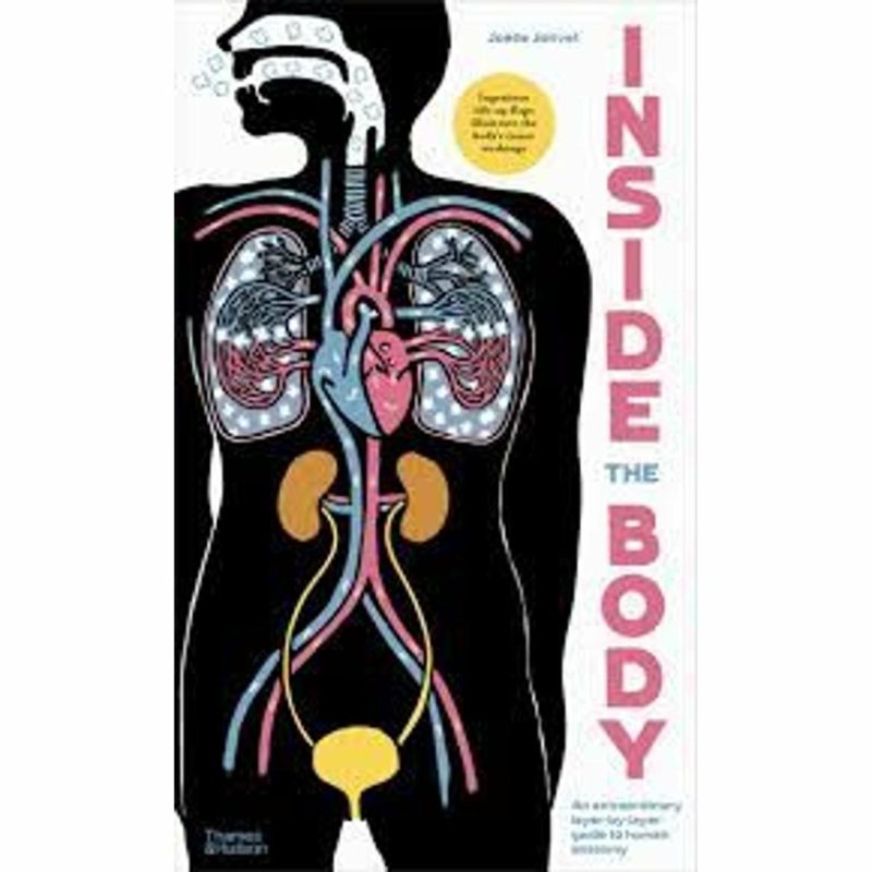 Books | Inside The Body: An Extraordinary Layer By Layer Guide To The Human Anatomy Books Books