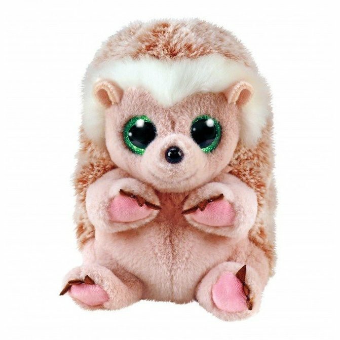 Collectables | Bumper The Hedgehog (Beanie Bellie) Collectables Collectables