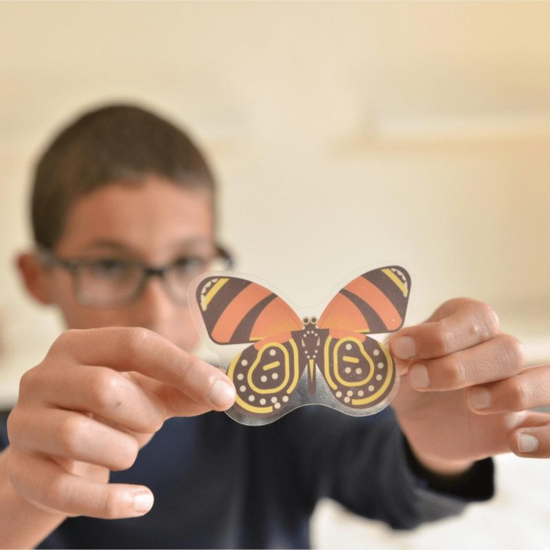 Creative Toys | Discovery Stickers – Insects Creative Toys Creative Toys