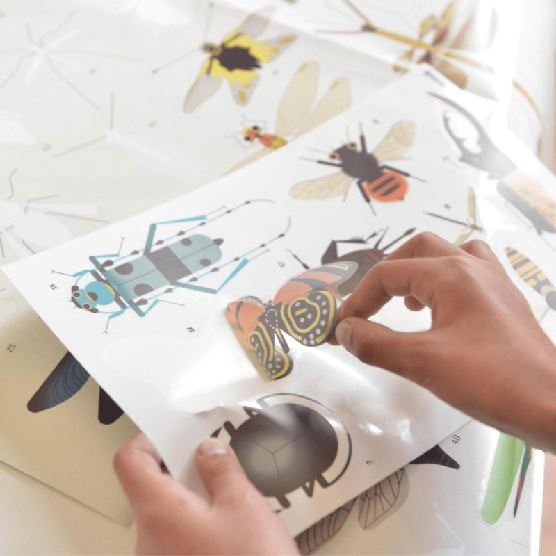 Creative Toys | Discovery Stickers – Insects Creative Toys Creative Toys