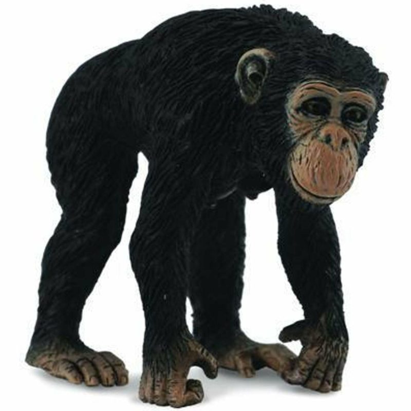 Figurines | Chimpanzee Female (M) Figurines Figurines