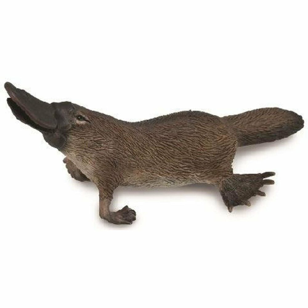 Figurines | Platypus (M) Figurines Figurines