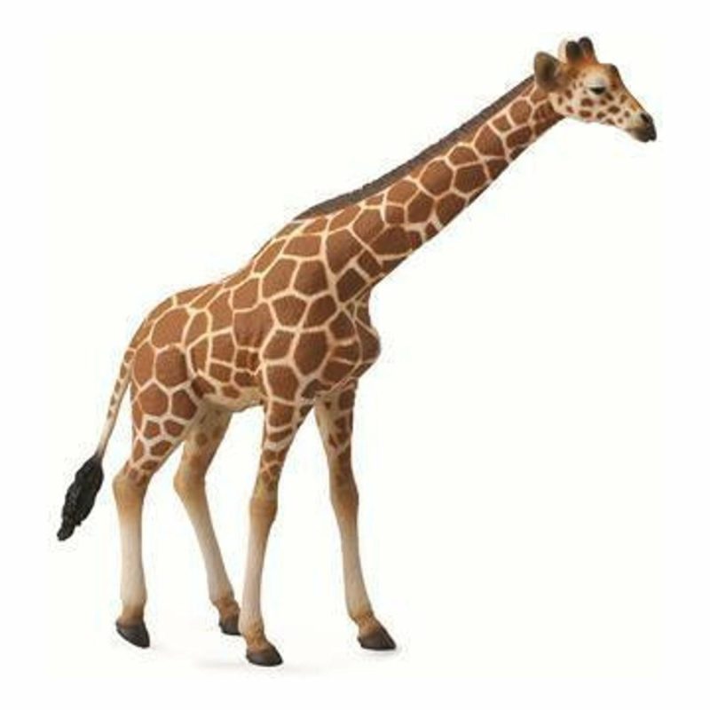 Figurines | Reticulated Giraffe (Xl) Figurines Figurines