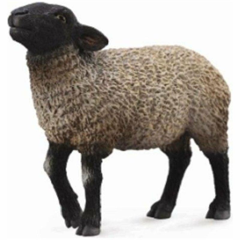 Figurines | Suffolk Sheep (M) Figurines Figurines