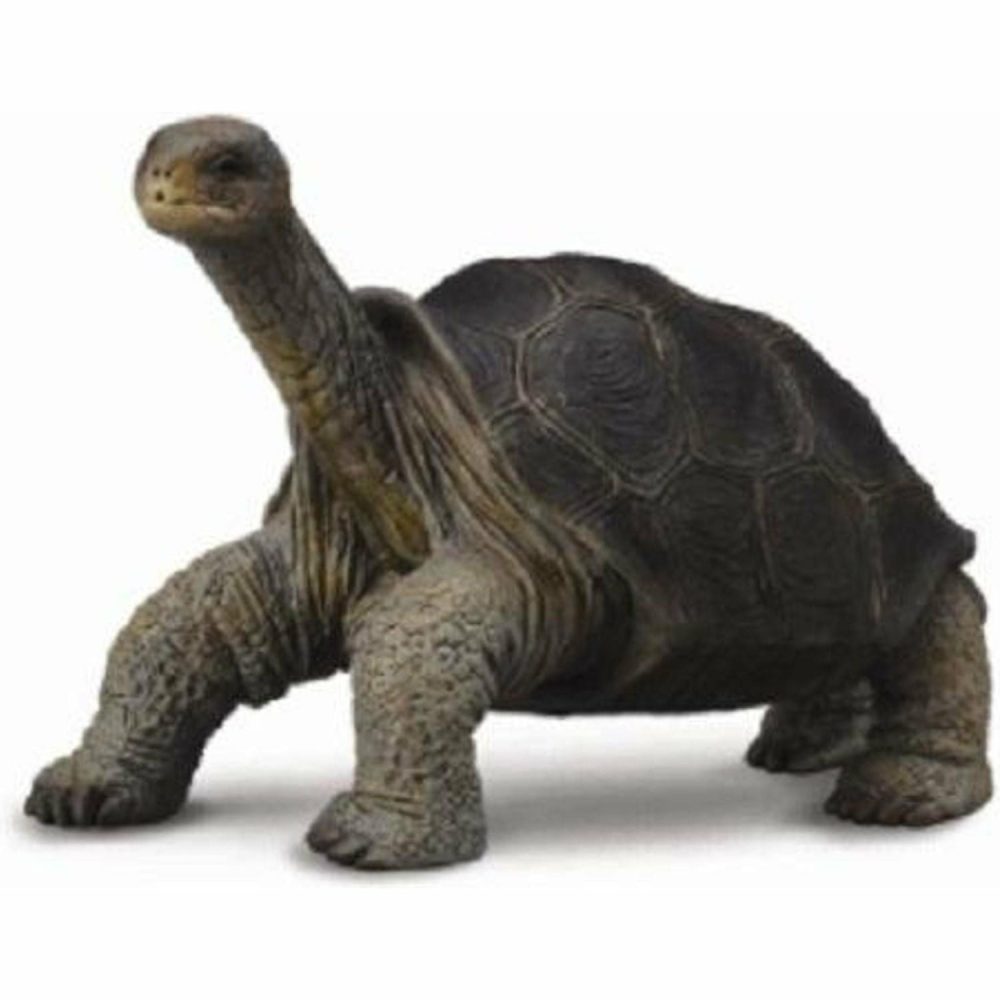 Figurines | Tortoise Pinta Island (M) Figurines Figurines