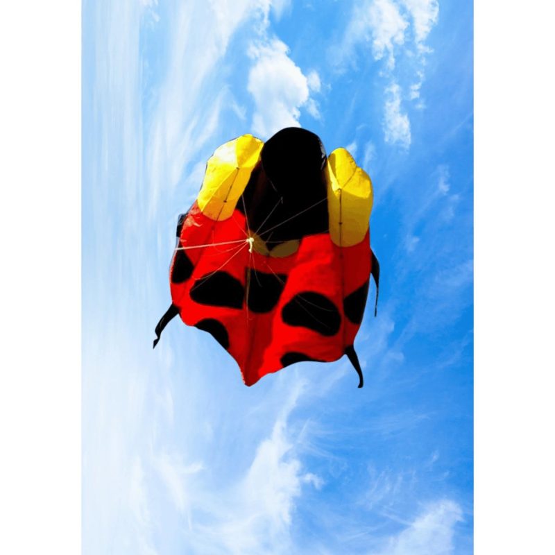 Kites | Inflatable Ladybird Kites Kites