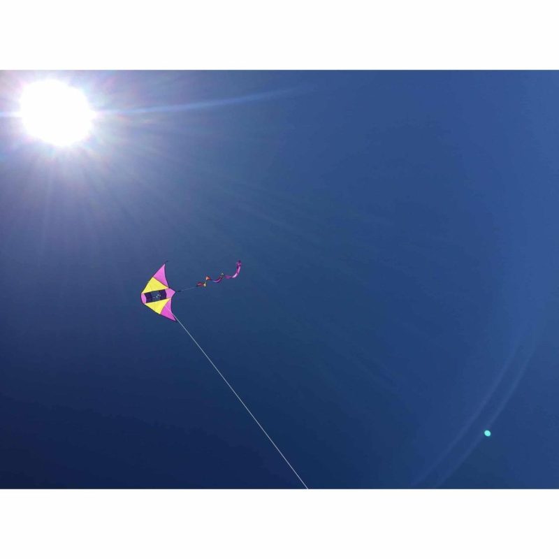 Kites | Single Line Kite: Electric Kites Kites