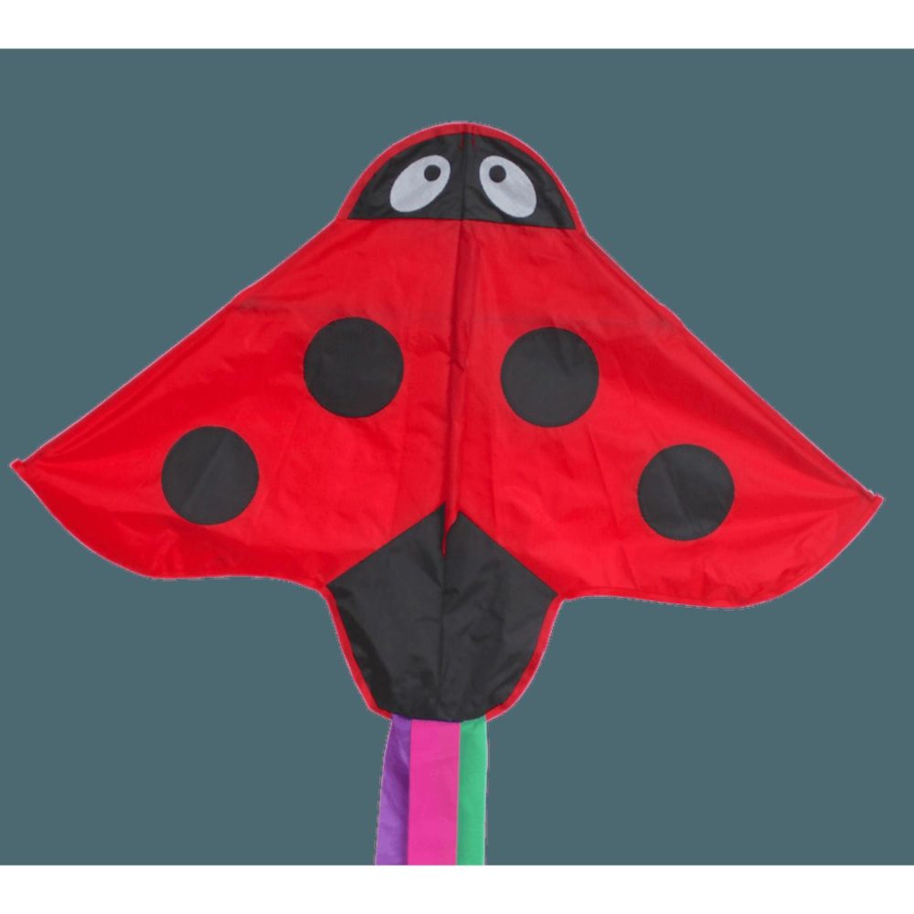 Kites | Single Line Kite: Ladybird Kites Kites