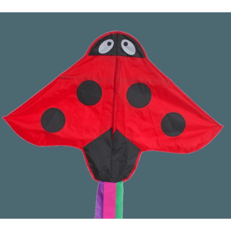 Kites | Single Line Kite: Ladybird Kites Kites