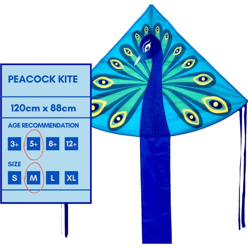 Kites | Single Line Kite: Peacock Kites Kites