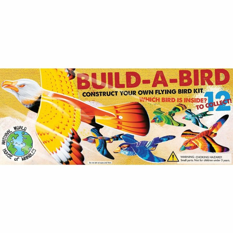 Novelty Toys | Build-A-Bird Kit (Assorted) Novelty Toys Novelty Toys