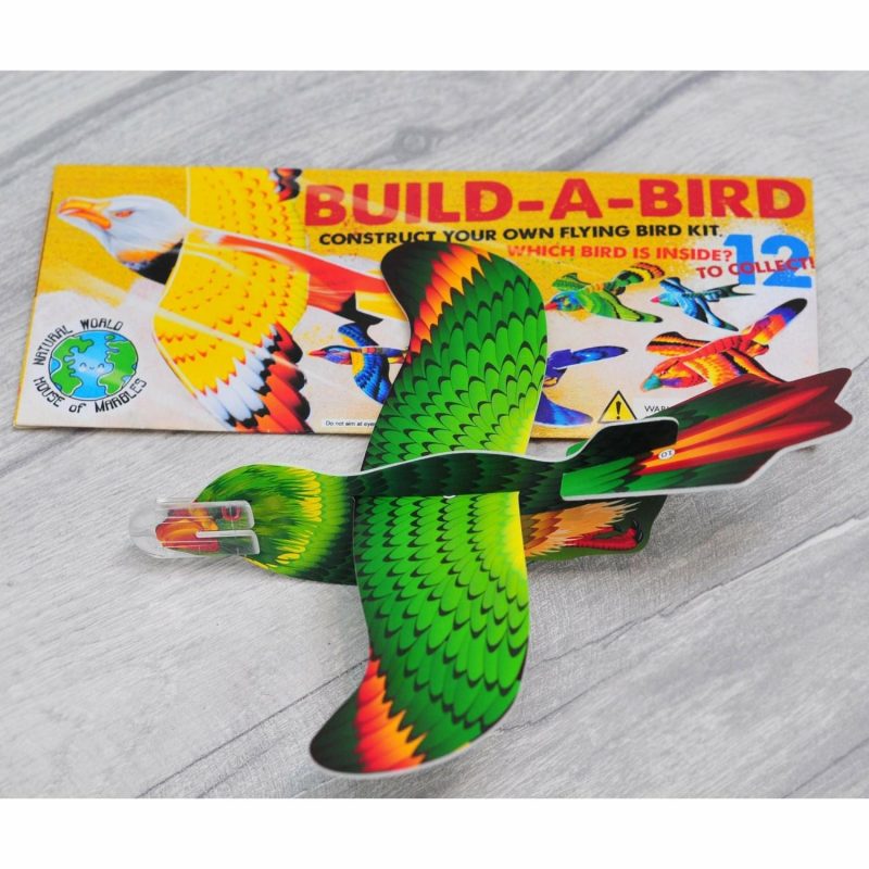 Novelty Toys | Build-A-Bird Kit (Assorted) Novelty Toys Novelty Toys