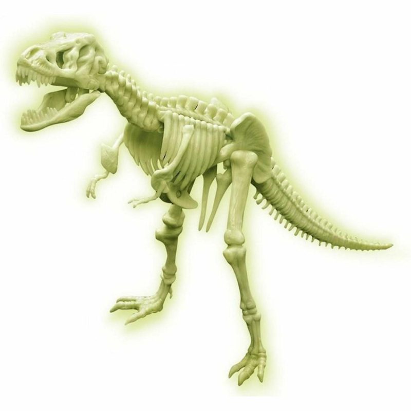 Novelty Toys | Glow T-Rex Skeleton Novelty Toys Novelty Toys