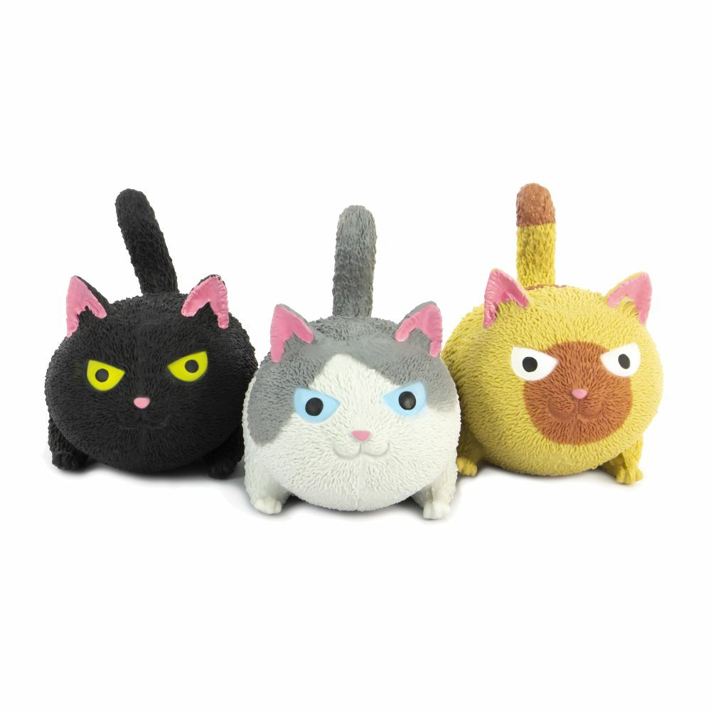 Novelty Toys | Squidgy Cat Novelty Toys Novelty Toys