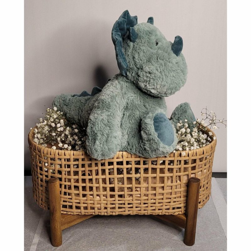 Plush & Soft Toys | Dougie The Dinosaur Plush & Soft Toys Plush & Soft Toys